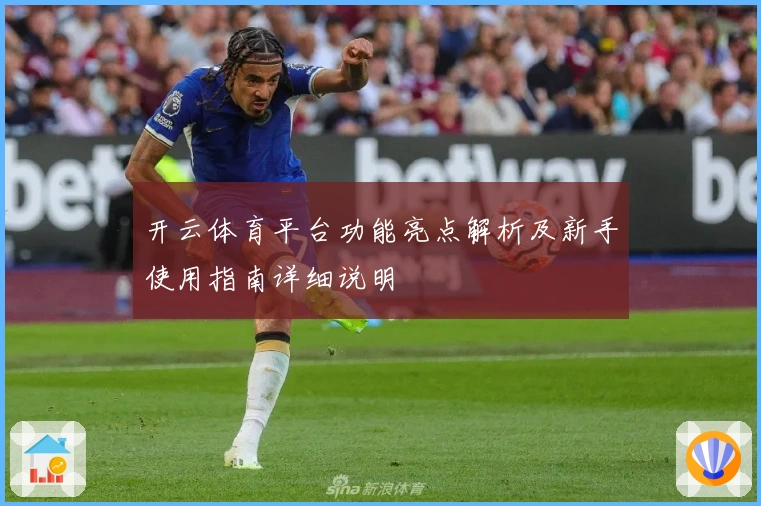开云体育平台功能亮点解析及新手使用指南详细说明